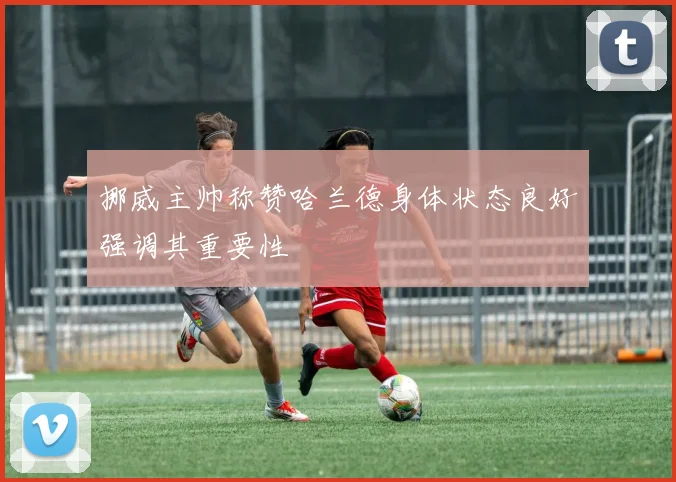 挪威主帅称赞哈兰德身体状态良好强调其重要性
